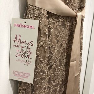 Elegant Promgirl lace dress